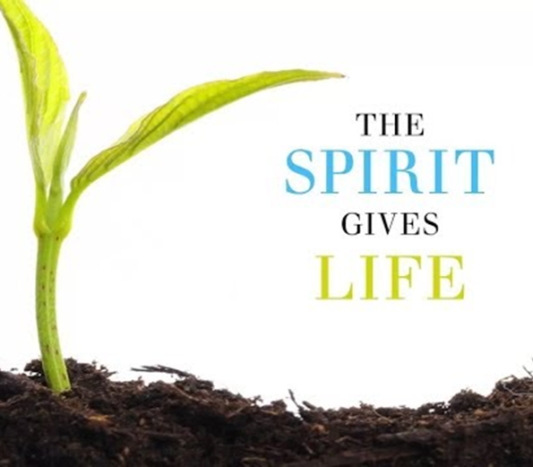 The Spirit Gives Life
